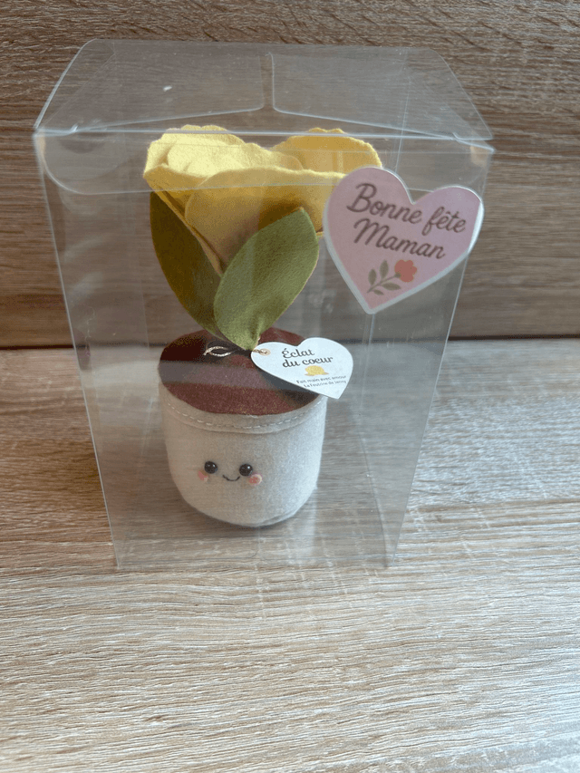 Pot "Éclat du coeur "- Déco feutrine fait main 