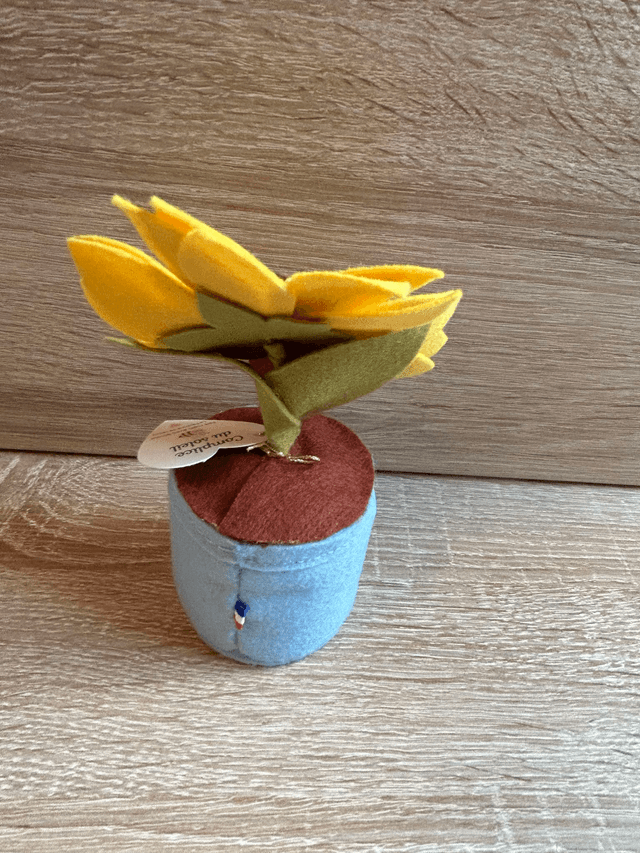 Pot "Complice du soleil"- Déco feutrine fait main