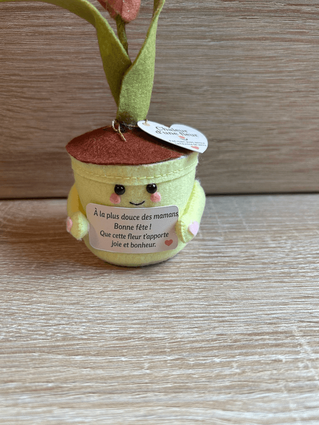 Pot "Chaleur d'une fleur"- Déco feutrine fait main 