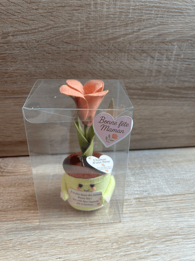Pot "Chaleur d'une fleur"- Déco feutrine fait main 